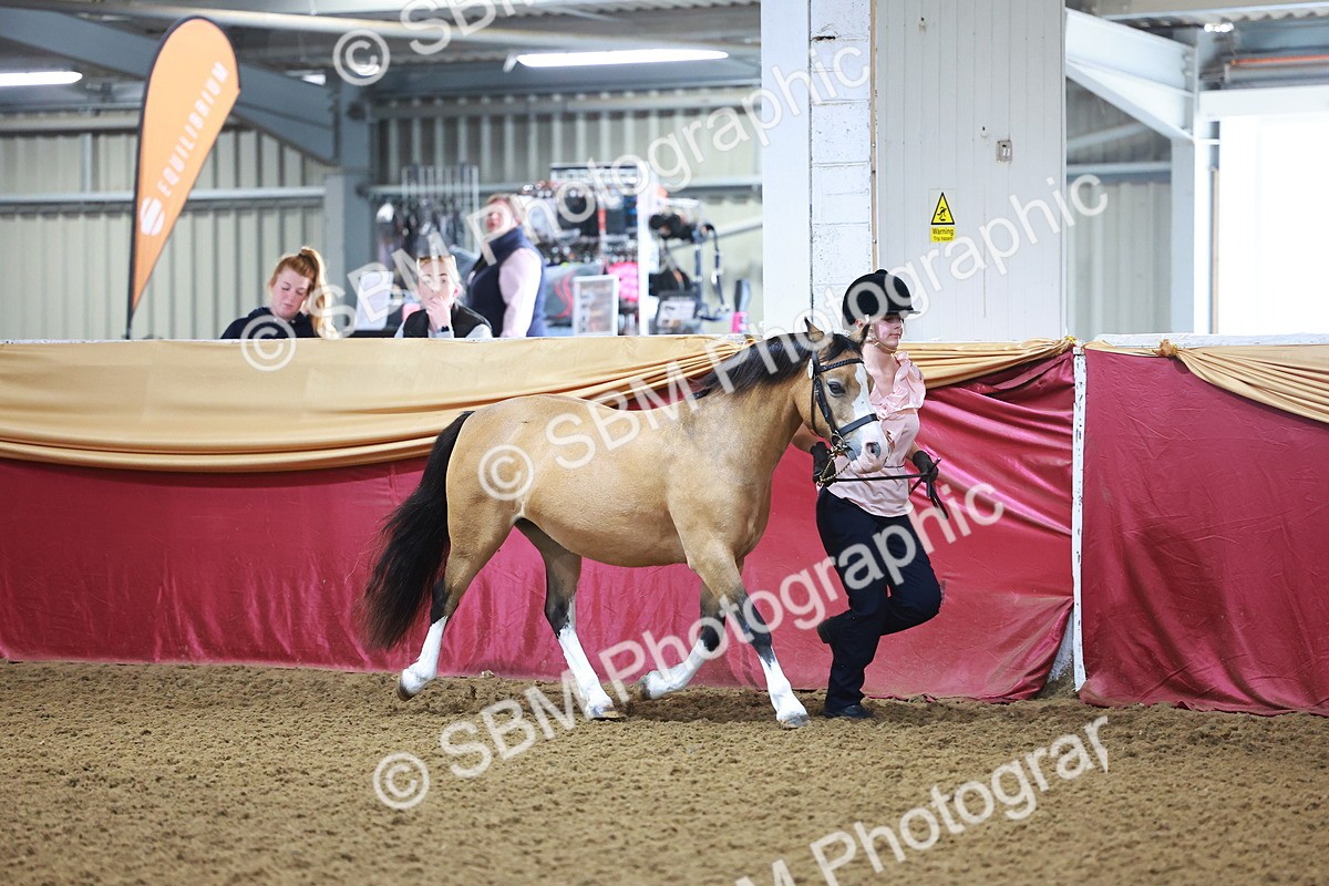 SBM_14675 - Class B - Junior Champ 11 to 16 Years
