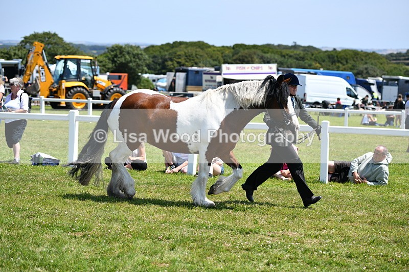 DSC_7567 - Class 64: Coloured Pony 4yrs & over