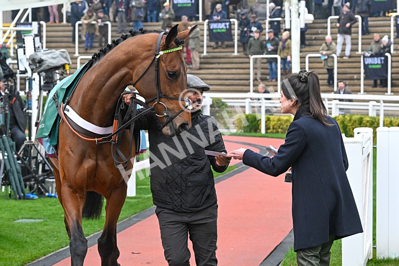 131224-Race 1-Thats Nice-8519 - Race 1