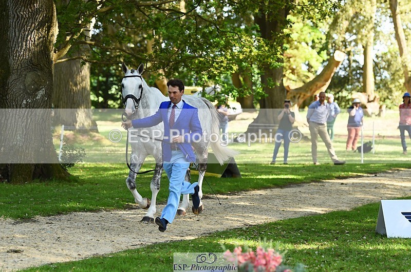 230524-163020-00909 - 118-HIGH_HOPES_VIKING-Harry_Meade-WEDTrotUp+DR