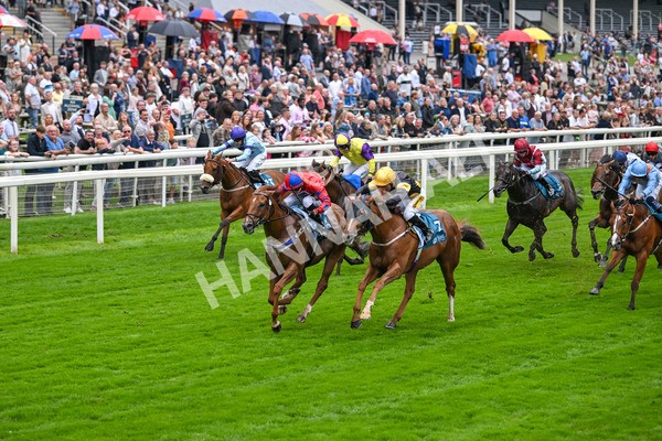 080925-Race 2-Alzahir-7416 - Race 2 3.00pm Sky Bet Super Sub Sprint Handicap