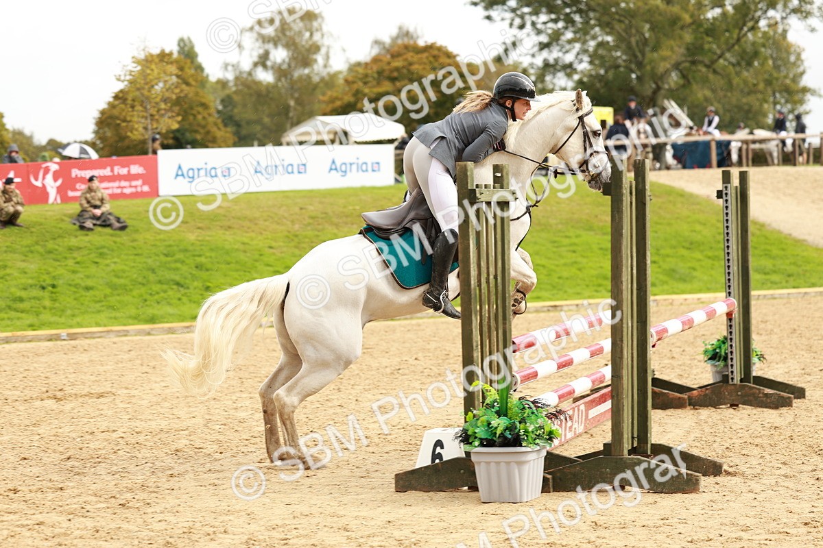 SBM_38409 - Supreme Championship 80cm 85cm