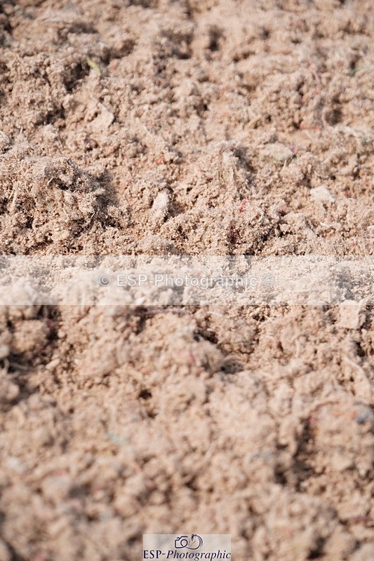 250608-100100-01823 - Cls 4 Pony British Novice and 80cm