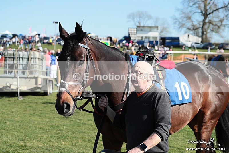 PtP 210326 229 - VWH Cirencester Races 21/03/26