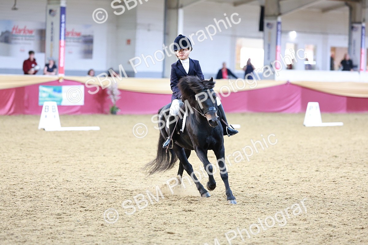 SBM_09205 - Class 61 - Dressage to Music