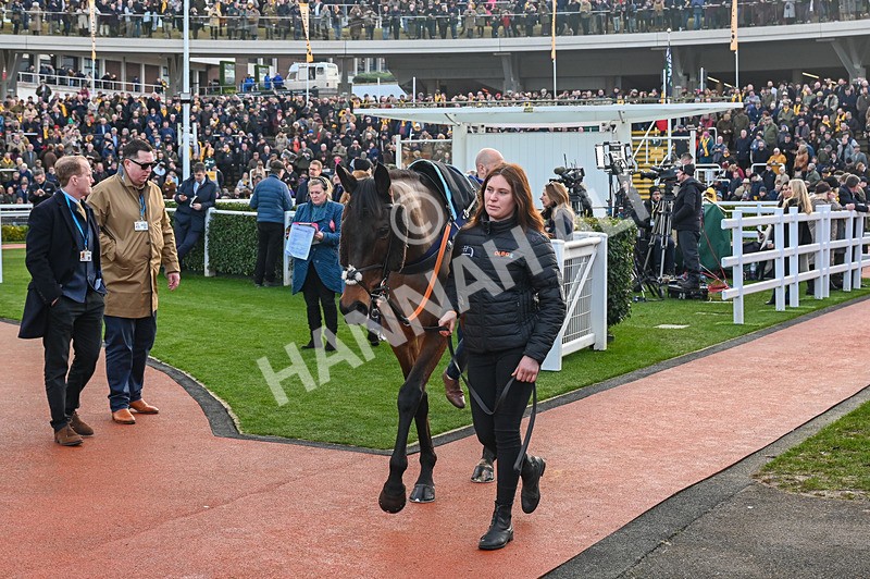 250125-Race 5-Brentford Hope-3487 - Race 5