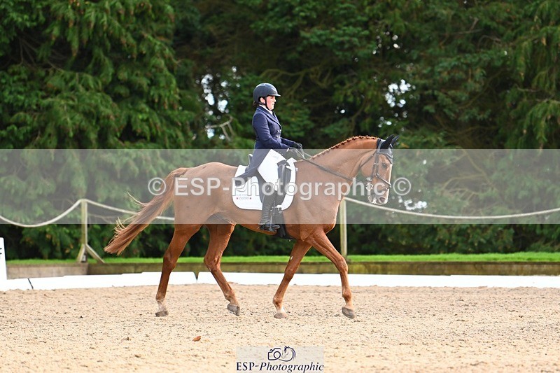 231021-161101-21044 - 264-BEST.ENDEAVOUR-Freddie.Taylor-DR