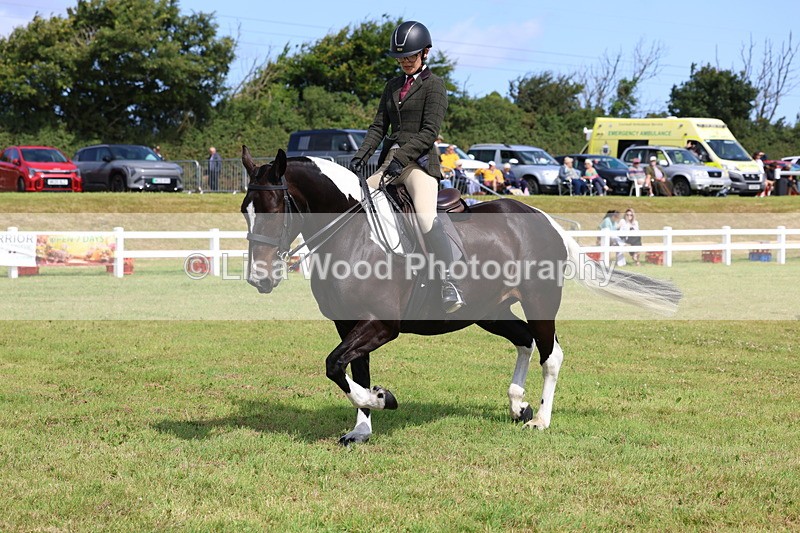 3E7A9851 - Class 5: Rising Star Lightweight/Heavyweight Cobs