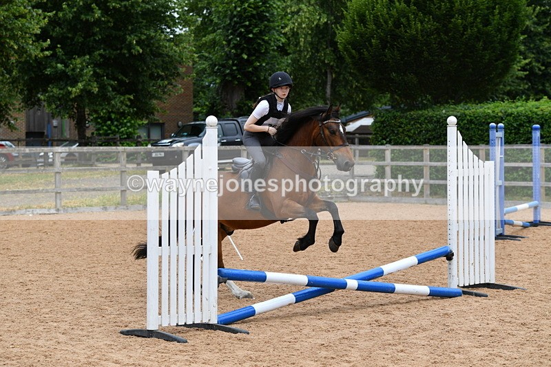 WJ5_6231 - Club 50cm