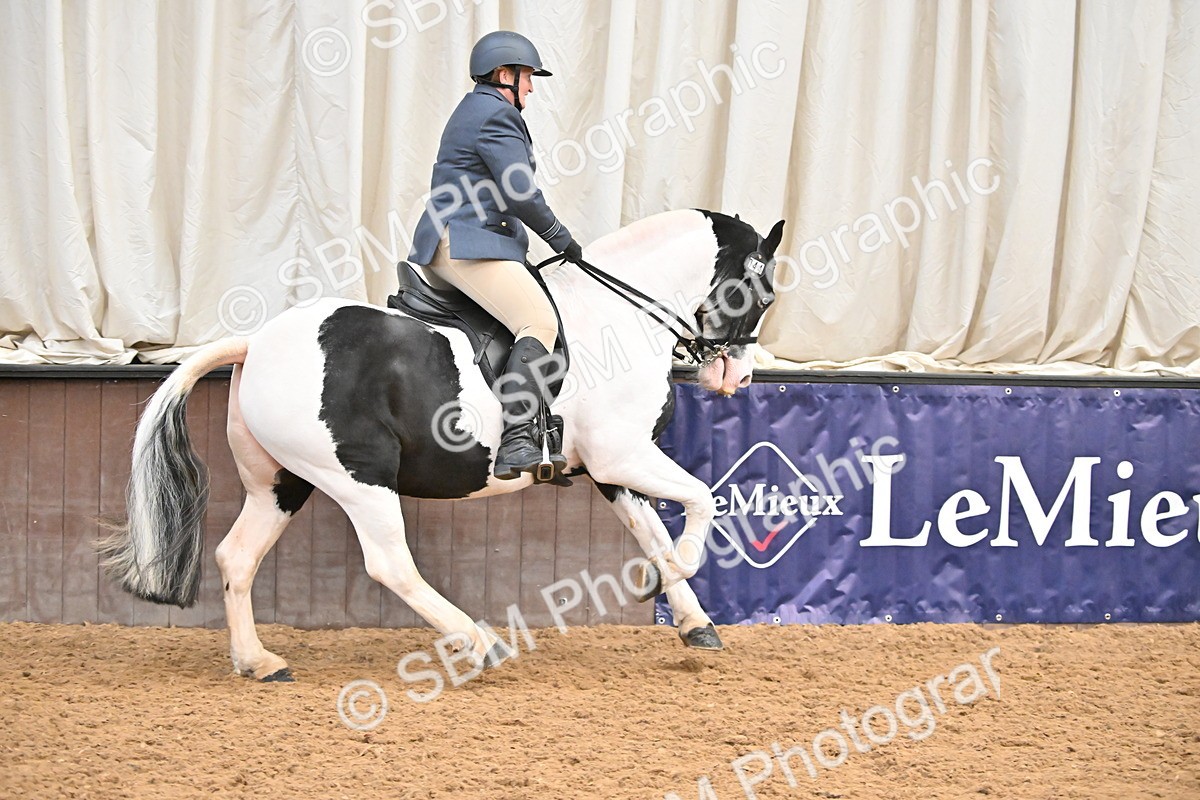 SBM_002638 - Class 28,29 - Ridden Irish & Coloured