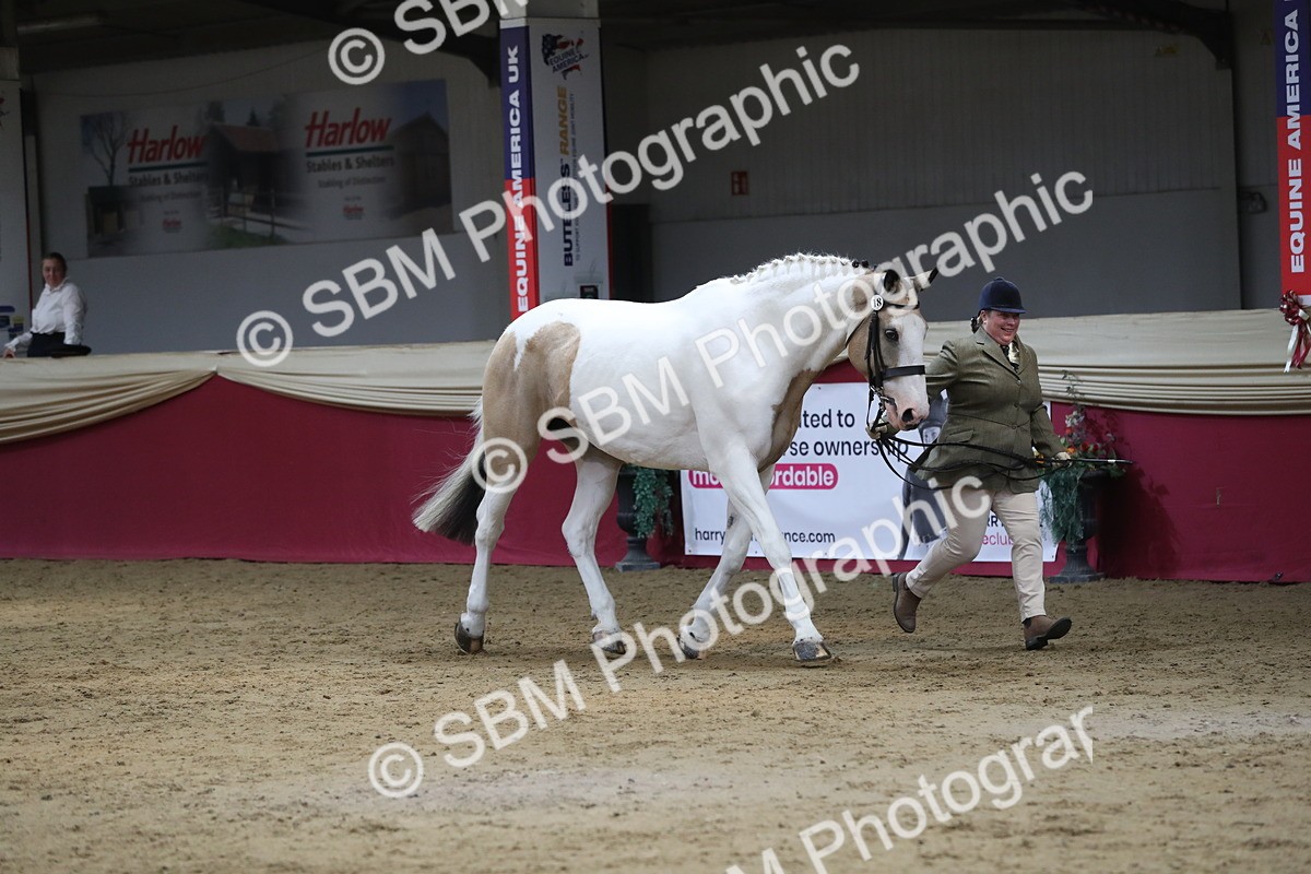 SBM_06229 - Class 9R Regional- IH Pre Vet