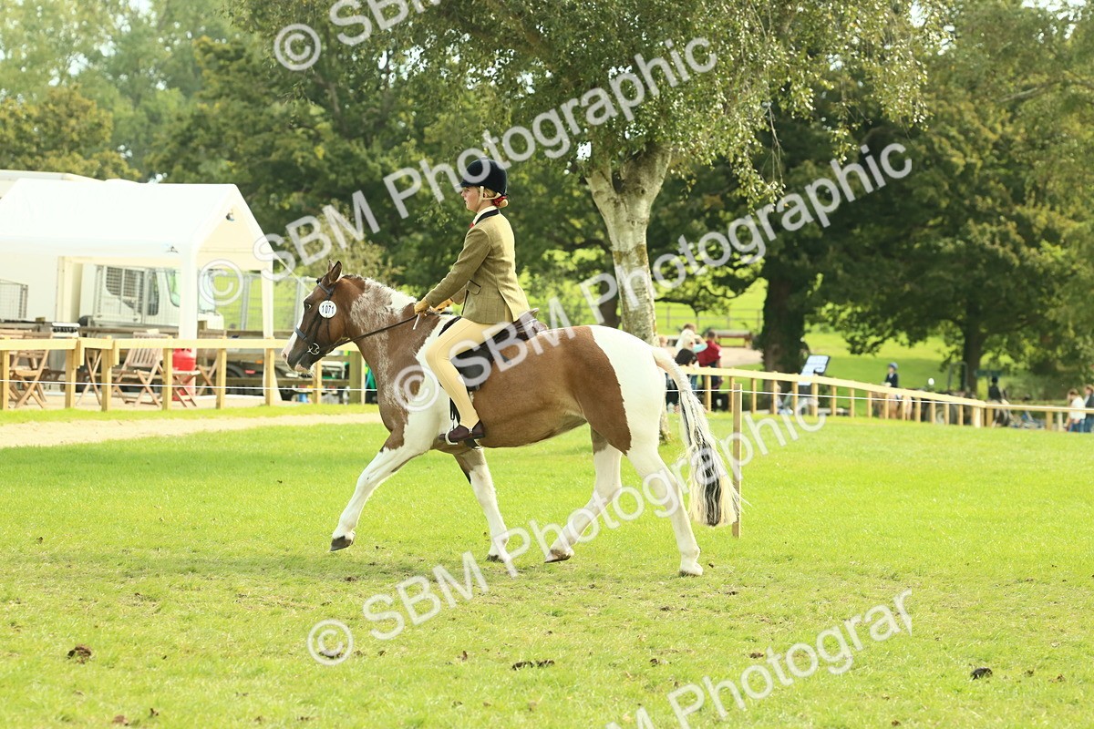 SBM_68109 - S57 - Part Bred Pony Ridden