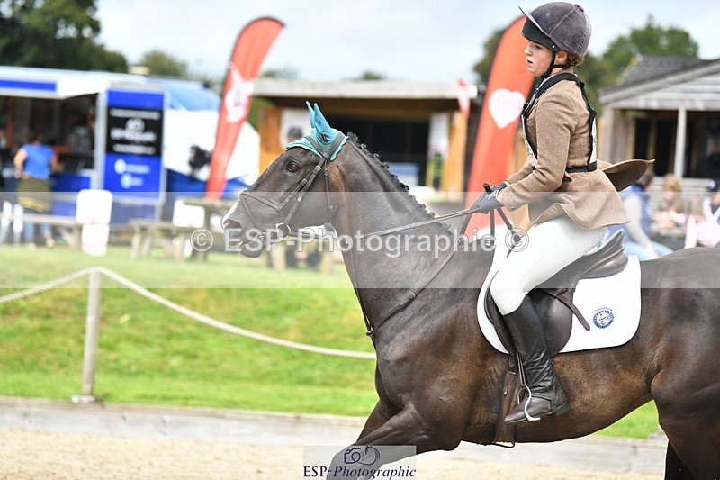 230827-125041-24650 - SJ 11.30 to End