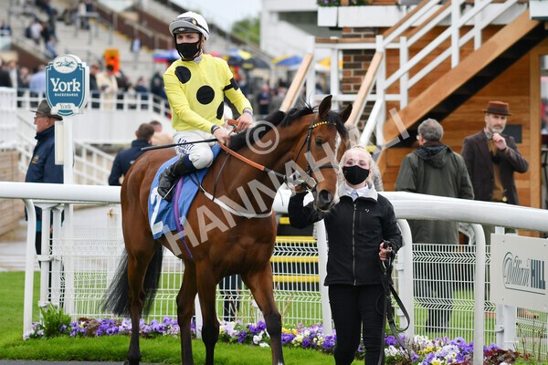 yr22052021r6-8 - Race 6 4.55pm Reg Bond