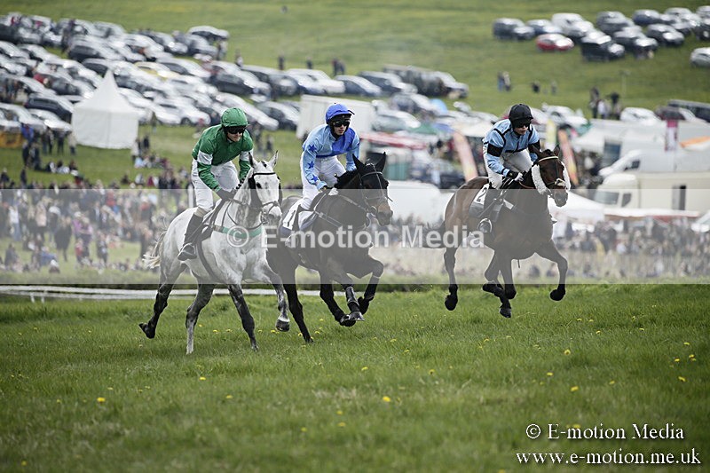 PtP 170417 86 - Old Berks Point-to-Point Lockinge 17/04/17