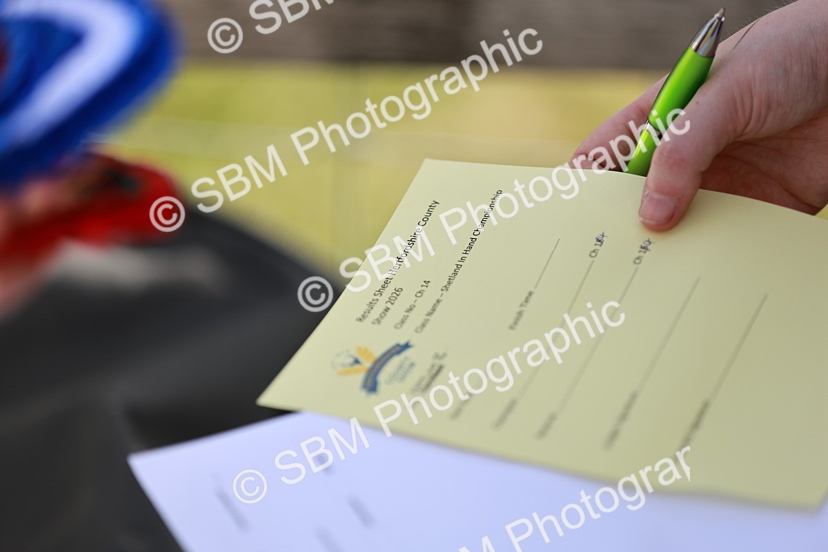 SBM_02038 - Class 14-23 - Mountain & Moorland In Hand Non Welsh