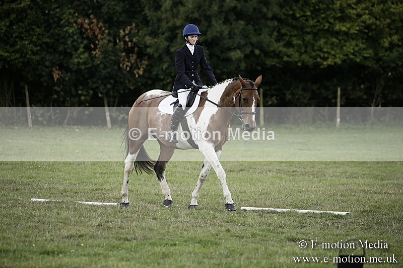 BVR090918 195 - BVRC Dressage and Show Jumping 09/09/18