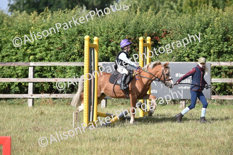 20250831-0370 - Class 6 - Minimus Jumping 30cm