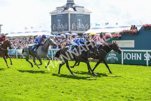 150723-Race 3-Pride of America-0317 - Race 3 3.10pm John Smith's Cup Handicap