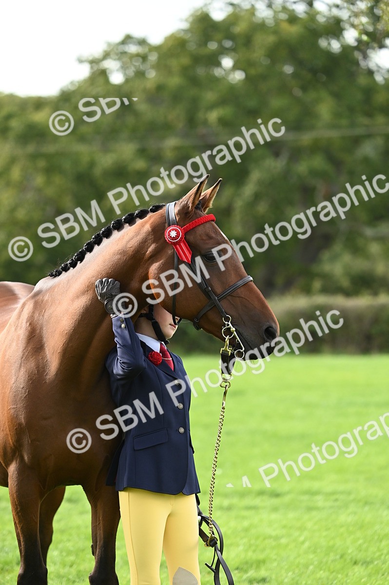 SBM_25038