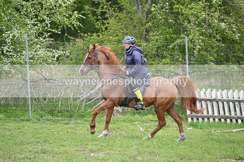 WJ6_3229 - A camera