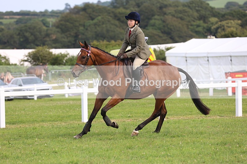 JPP_4199 - Class 25: Working Show Horse