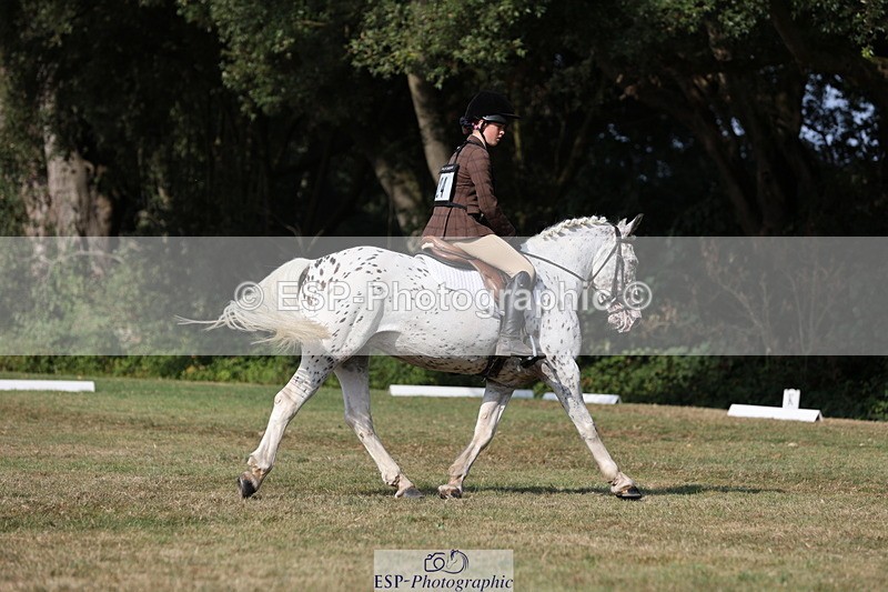 250823A-162312-33417 - PC80 Ride Off