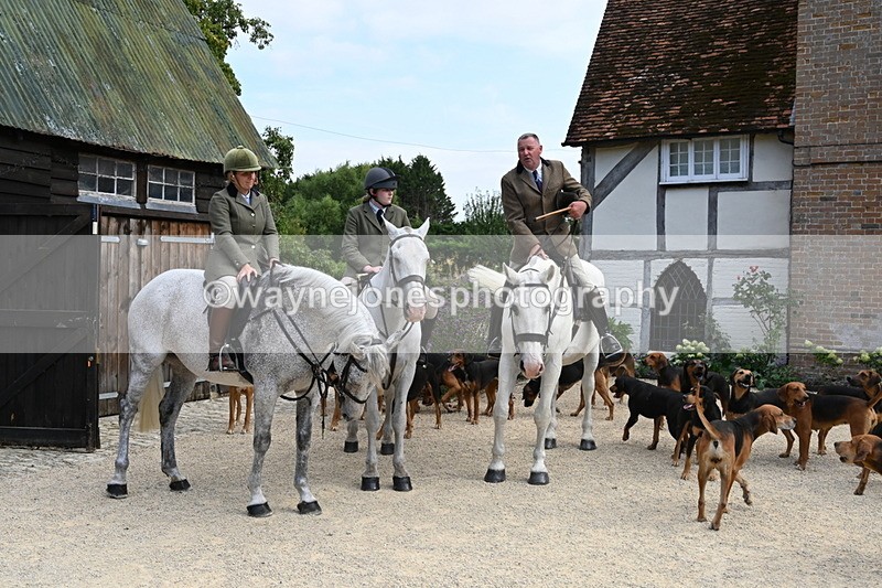 WJ6_3818 - Berks & Bucks - The Old farmhouse - Hound Exercise 20-08-25