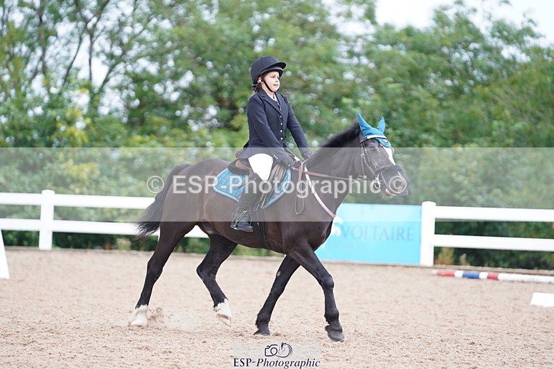 240809A-102032-00497 - Dressage Competition