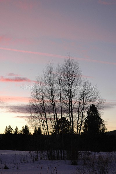  - Oregon