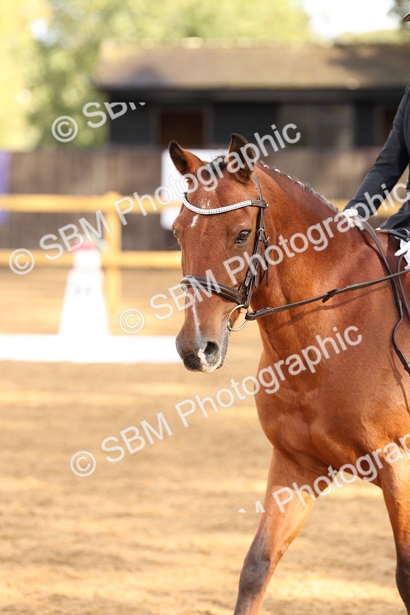 SBM_03479 - D1 - Small Tour Championship Intro 1