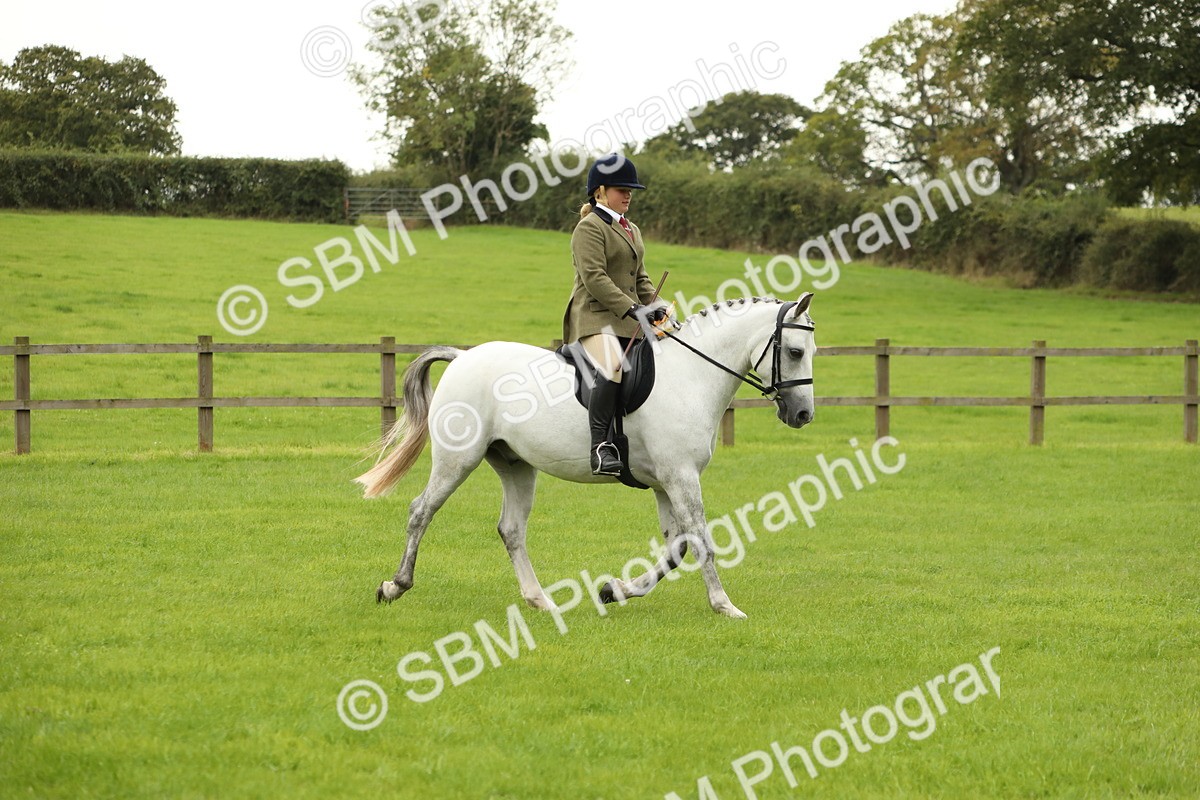SBM_71456 - S41 - Ridden Equitation (Best Rider)