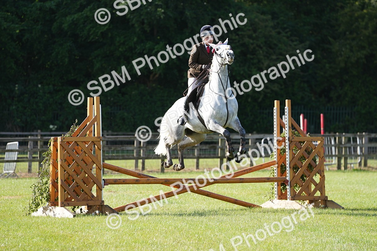 SBM_10493 - Class 97-98 - LIHS BSHA Rising Star Working Show Horse Hunter