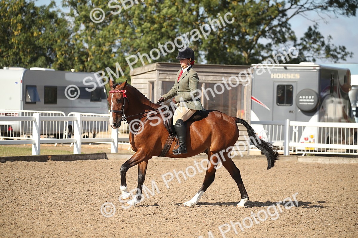 SBM_22724 - Class 601 - 2026 - Area - Ridden Diamond