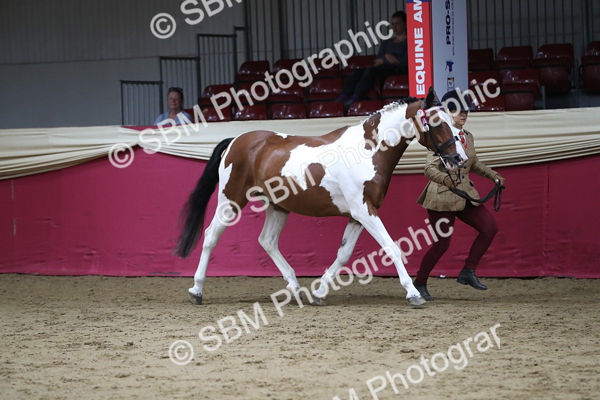 SBM_04981 - Class 8R- Regional -IH Veteran