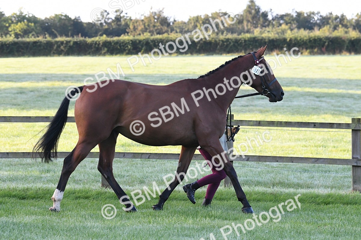 SBM_32533 - S15 - Condition & Turnout In Hand