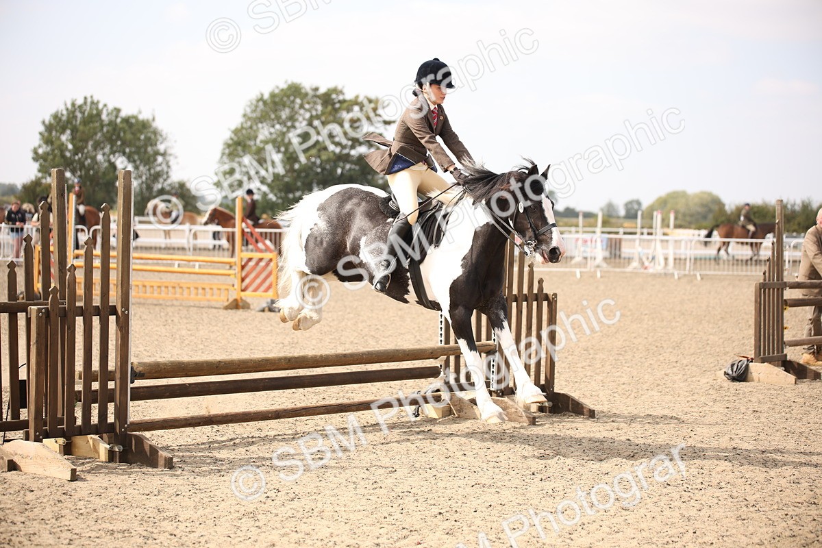 SBM_14980 - Class 408a - Working Veteran 70cm (15-19