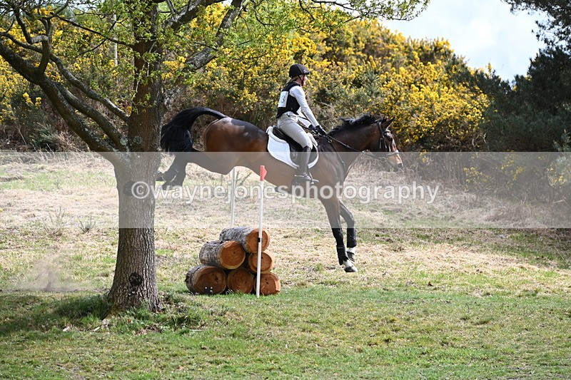 WJ6_0931 - Time 14:53 to 15:16