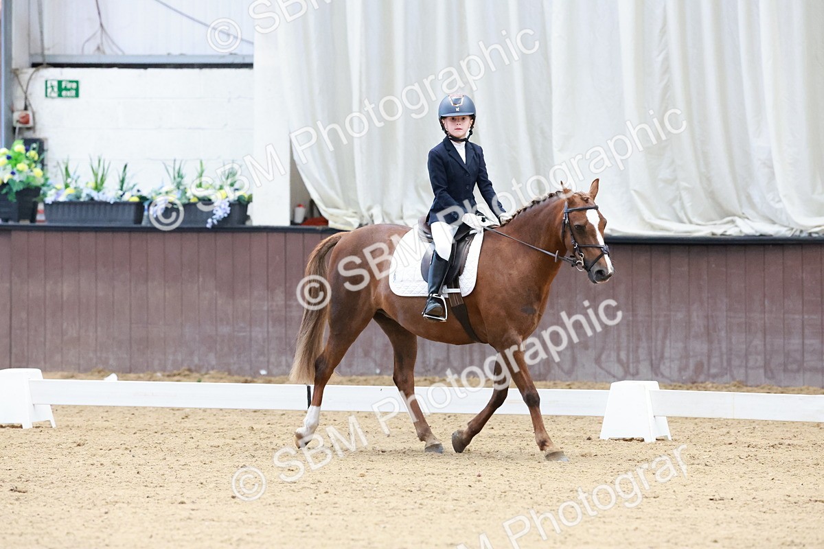 SBM_003147 - Intro 2