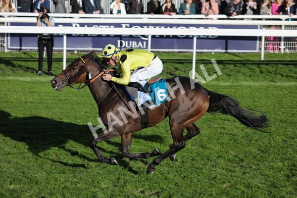 yr08102022r6-33 - Race 6 4.25pm The Watch Racing Online Free With Coral Handicap Stakes