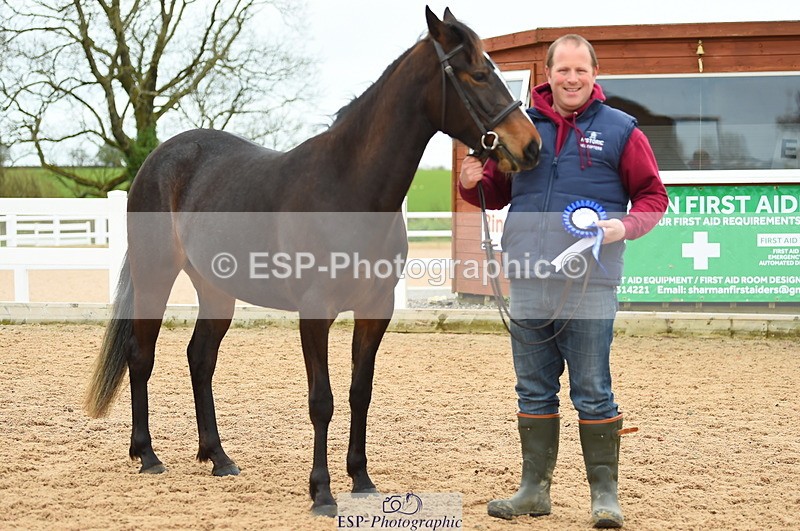 230416A-140910-04754 - Cls 46+43 In Hand Warmbloods and Foreign