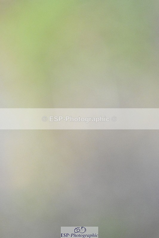 250831A-122521-10029 - Cls 36 Snr 1.30m Grand Prix