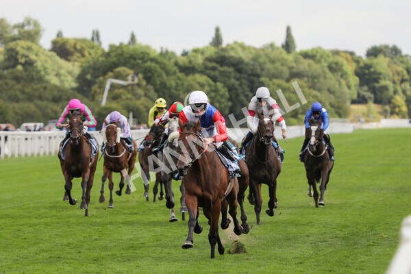 yr19082022r5-19 - Race 5 4.10pm Assured Data Protection EBF Fillies' Stakes