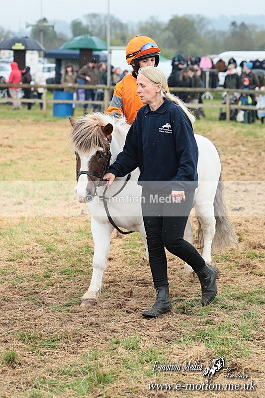 SHETPR 210425 54 - Shetland Ponies Paxford Races 21/04/25