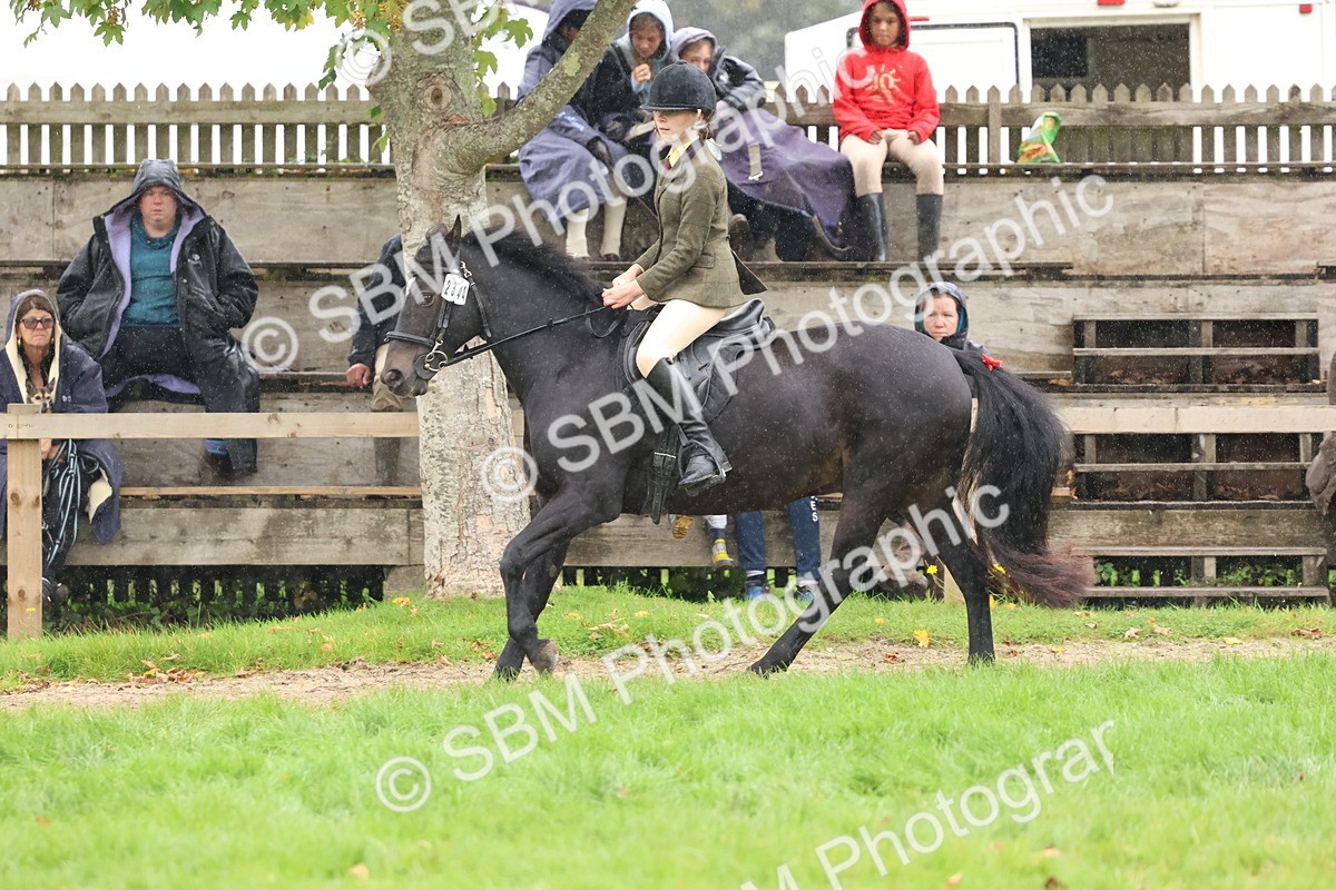 SBM_69705 - S62 - Mountain & Moorland Ridden Large Breeds