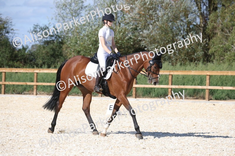 20260905-1501 - Class 5 - Novice 2