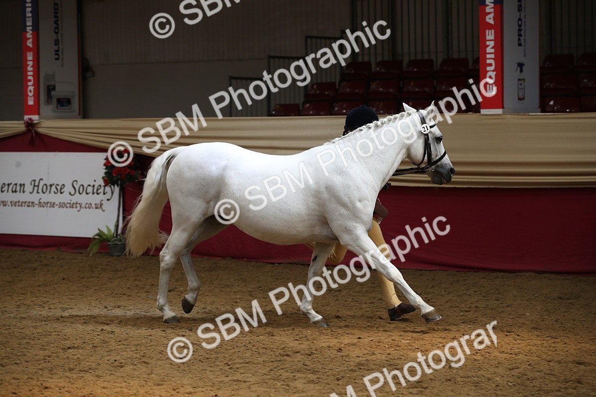SBM_05460_Class 8r - Regional - IH Veteran - Vicky Gutteridge