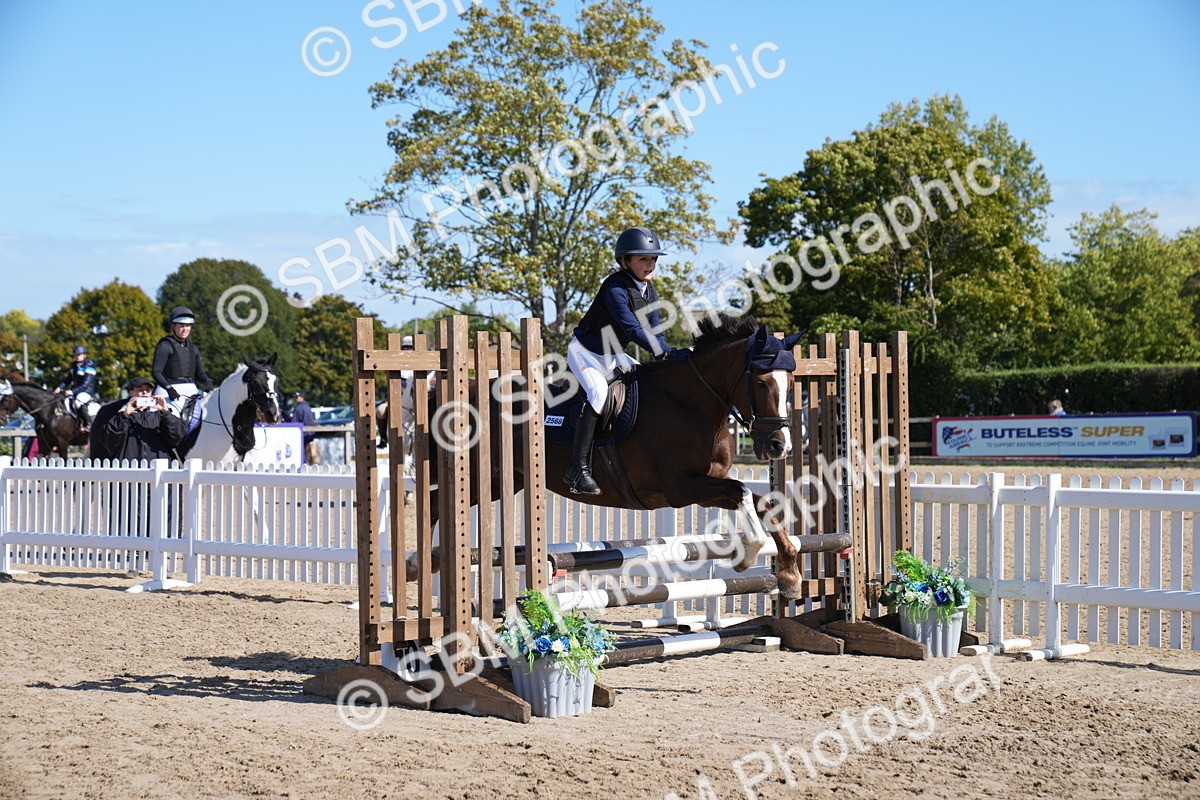 SBM_04923 - J56 - Clear Round 70cm