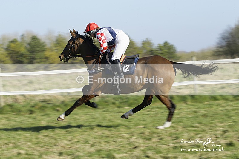 PtP 270222 164 - South & West Wilts Point-to-Point Larkhill 27/02/22