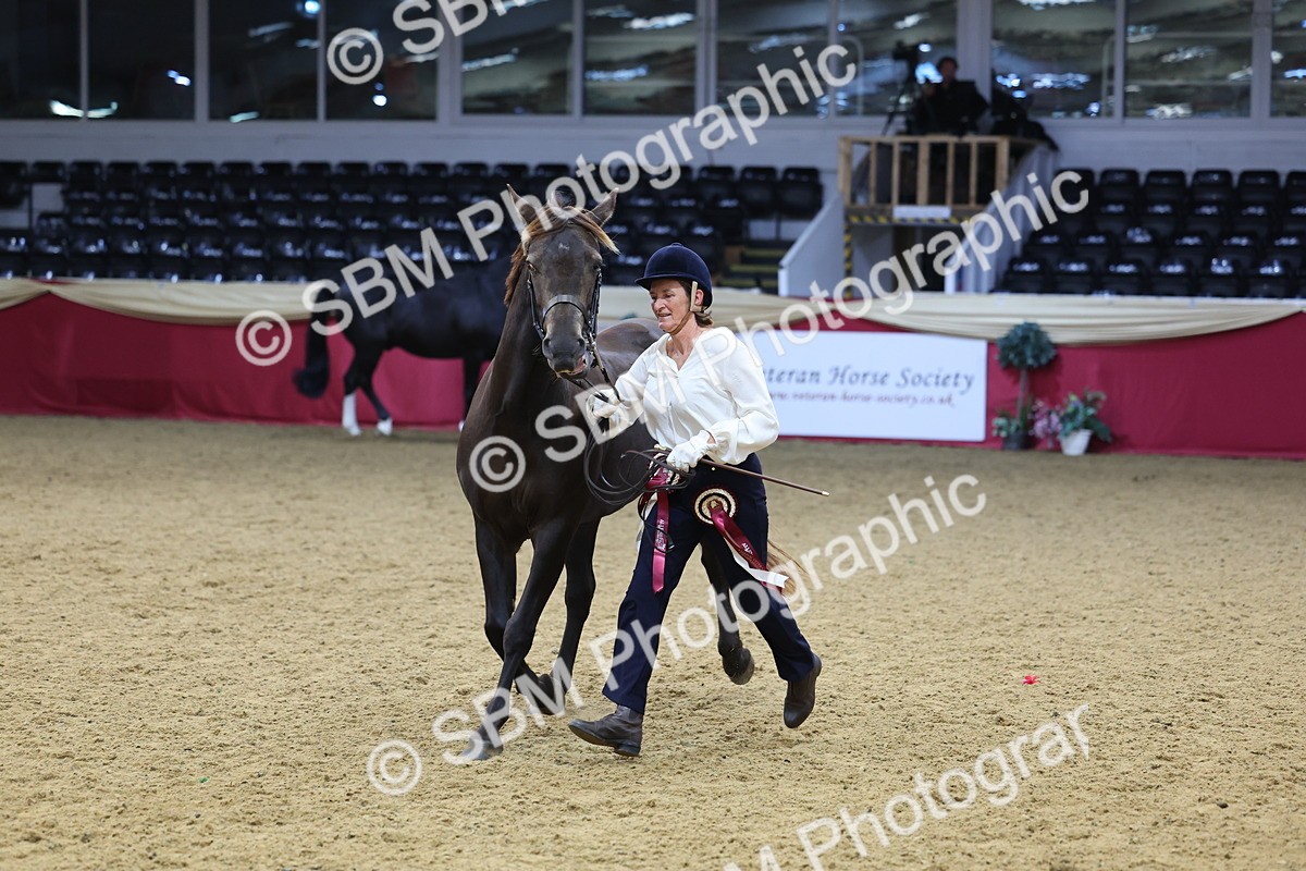 SBM_23051 - Class 903 - Supreme Final - IH Pre Vet